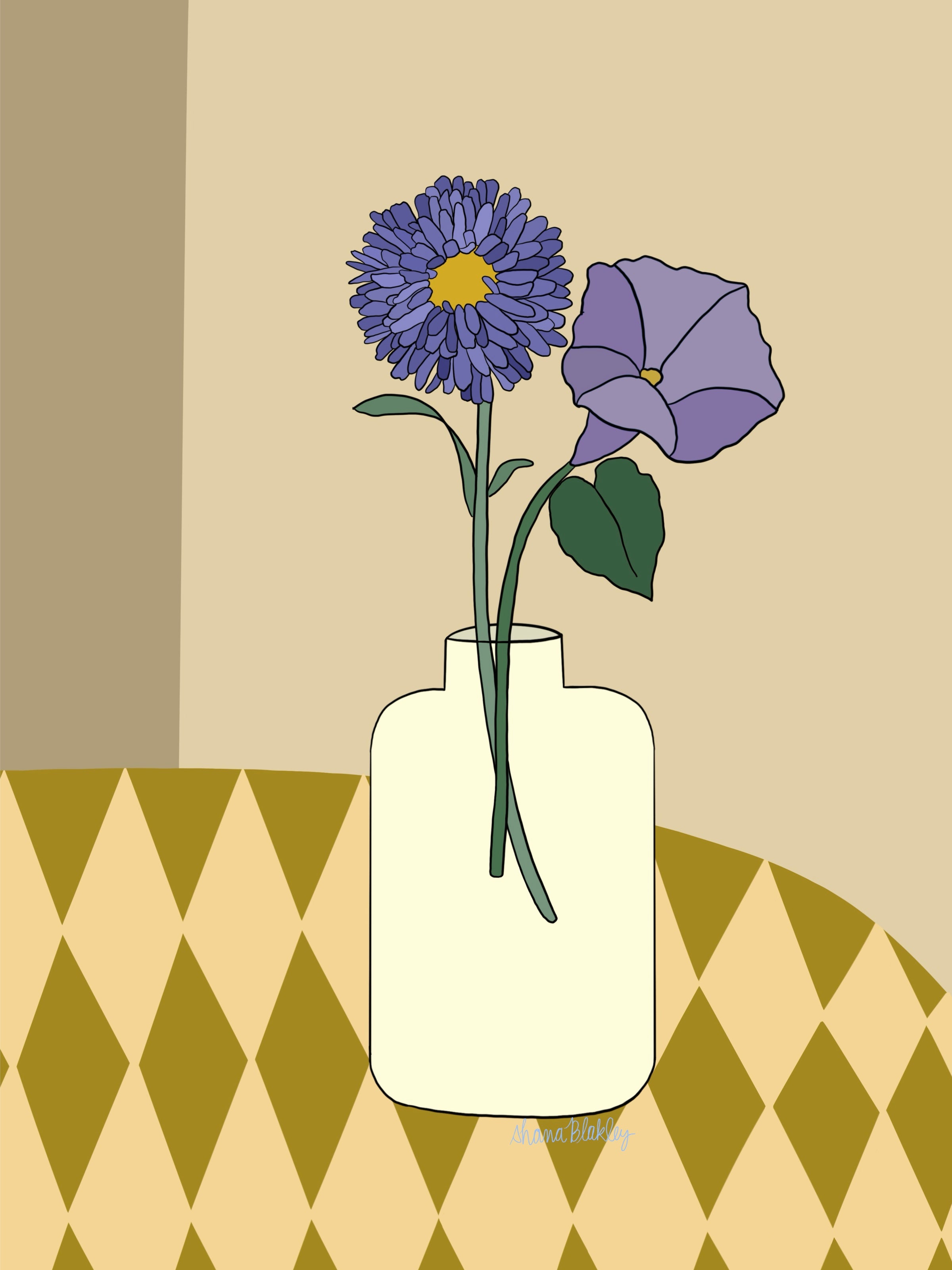 September |  Aster + Morning Glory